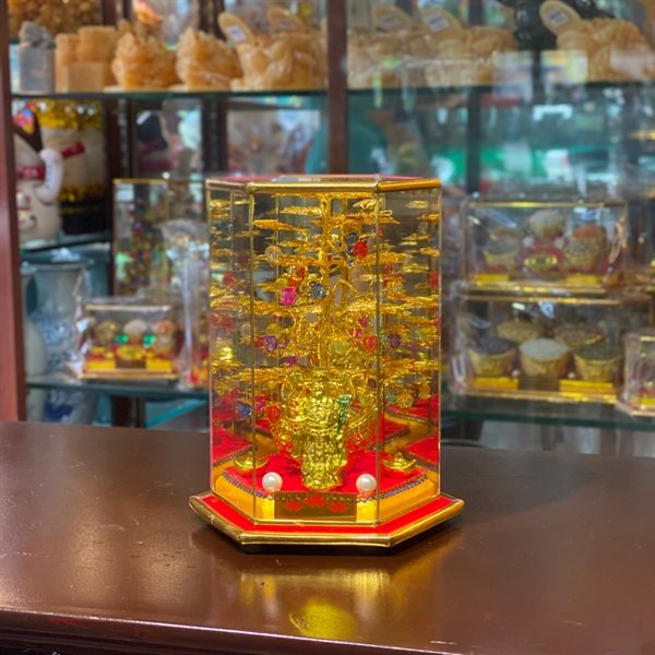 Cây Cành Vàng Lá Ngọc Chiêu Tài