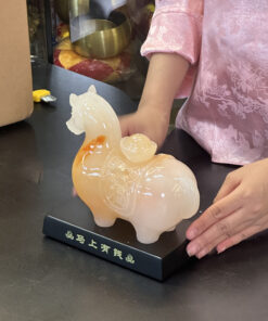 Mã Thượng Hữu Tiền