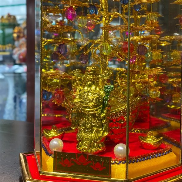 Cây Cành Vàng Lá Ngọc Chiêu Tài