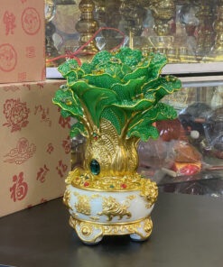 Bắp Cải XL