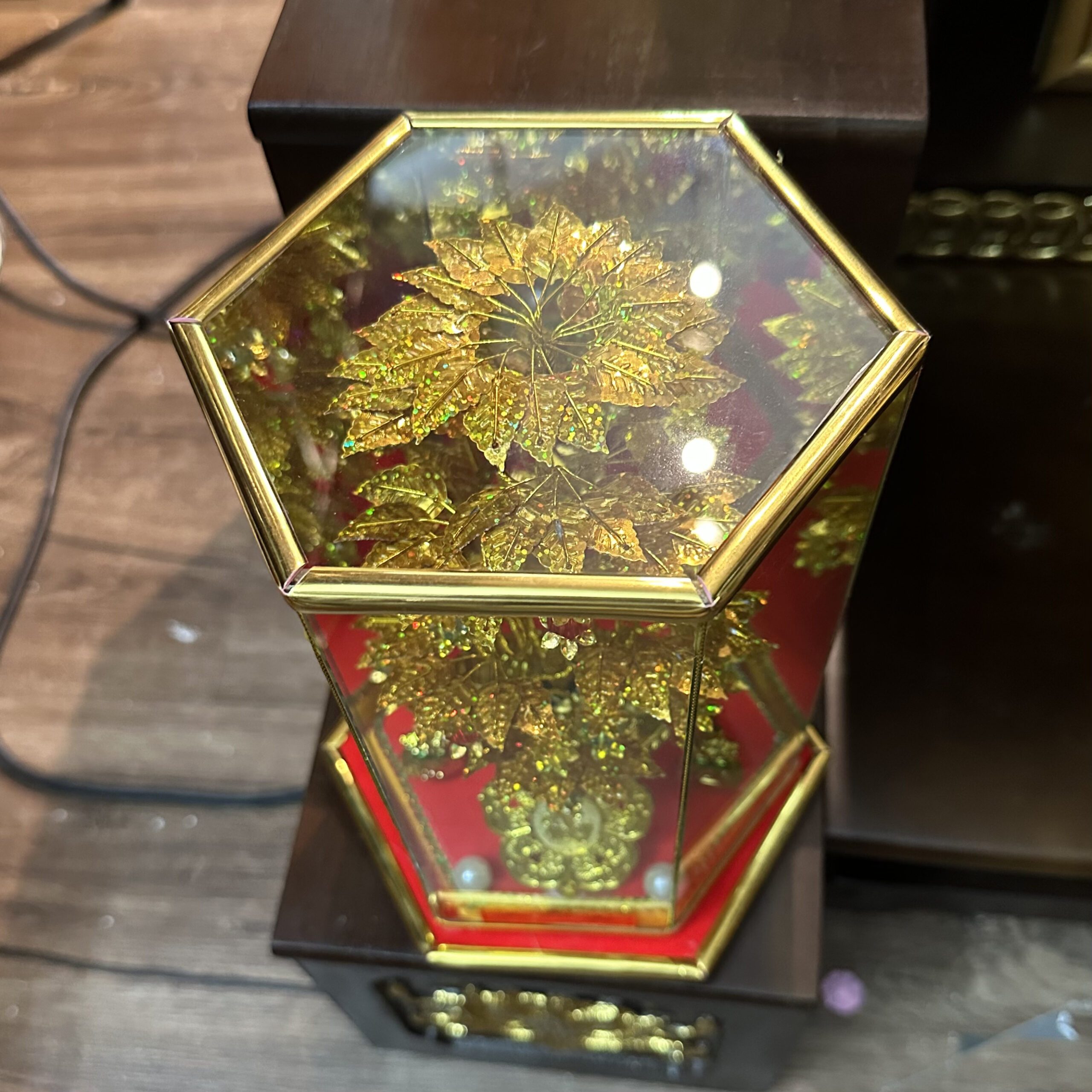 Cây Cành Vàng Lá Ngọc Chiêu Tài