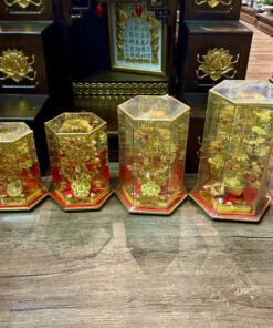 Cây Cành Vàng Lá Ngọc Chiêu Tài