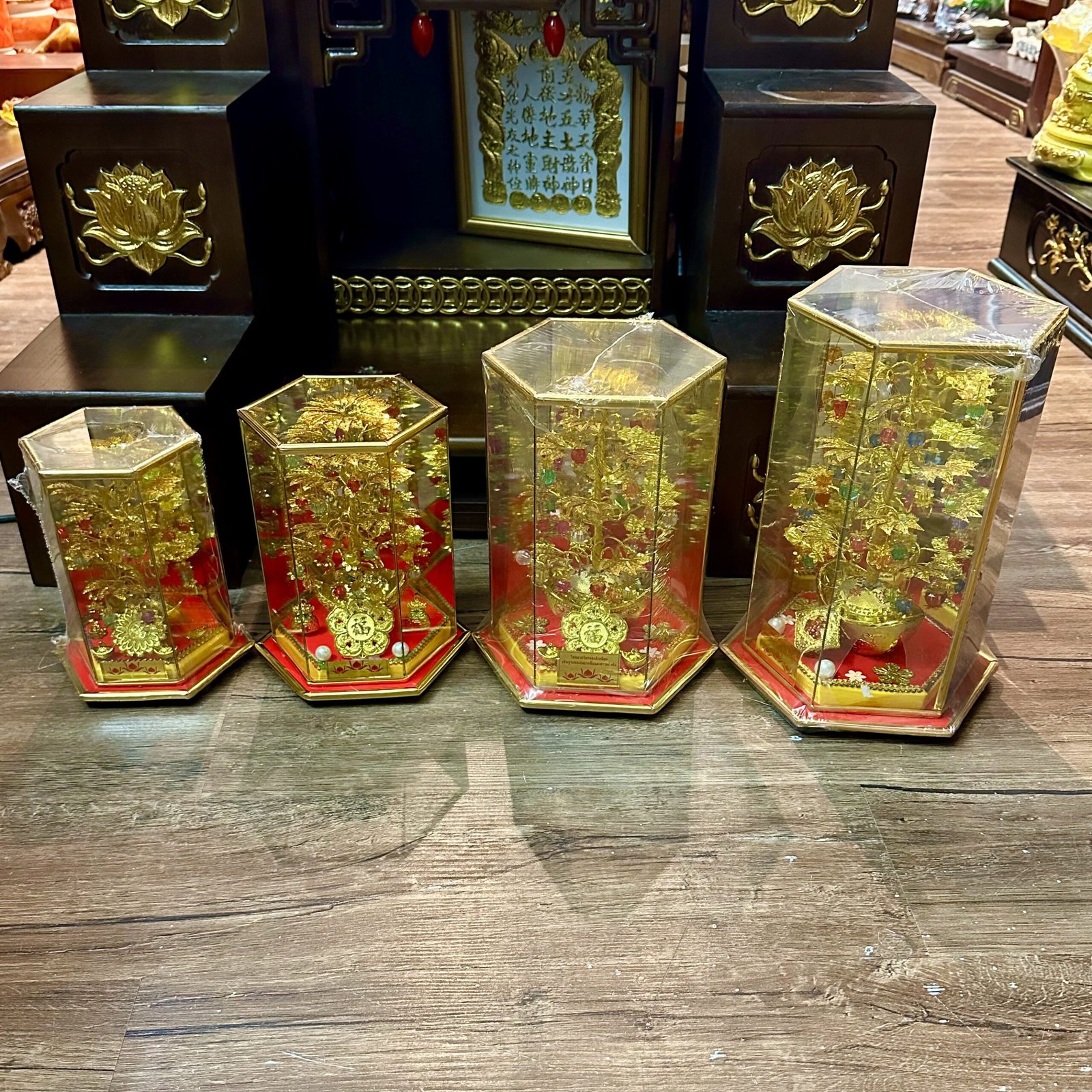 Cây Cành Vàng Lá Ngọc Chiêu Tài