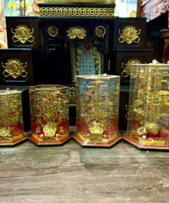 Cây Cành Vàng Lá Ngọc Chiêu Tài