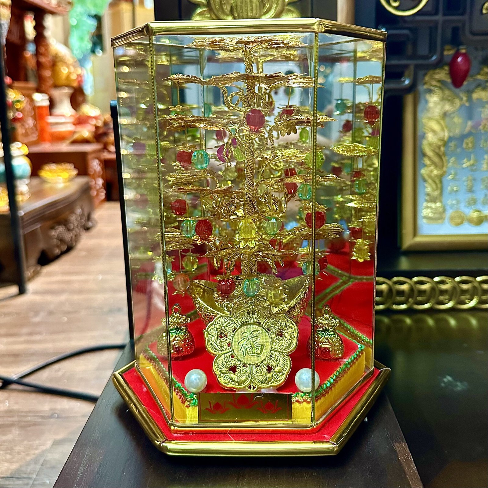 Cây Cành Vàng Lá Ngọc Chiêu Tài