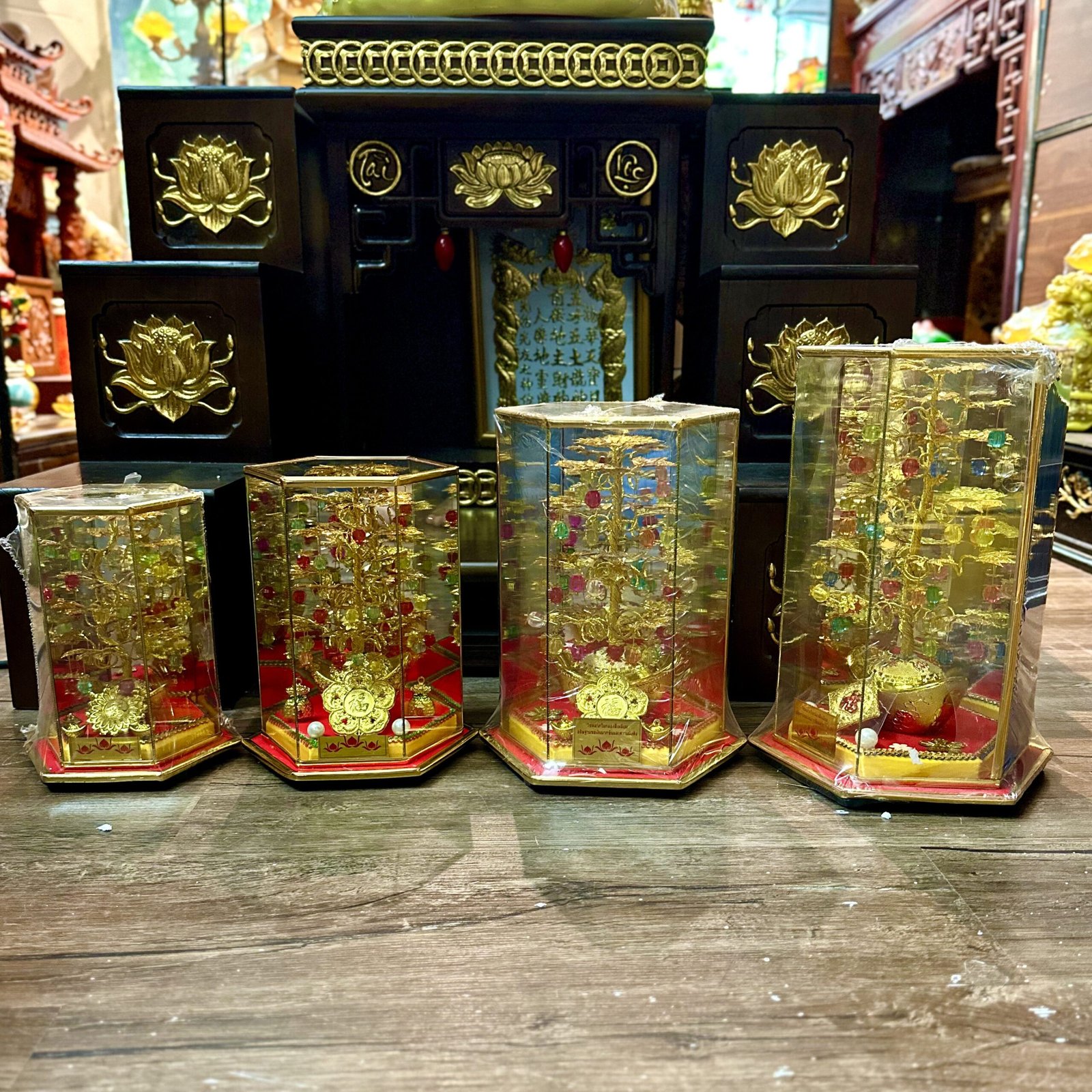 Cây Cành Vàng Lá Ngọc Chiêu Tài