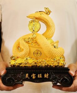 Rắn