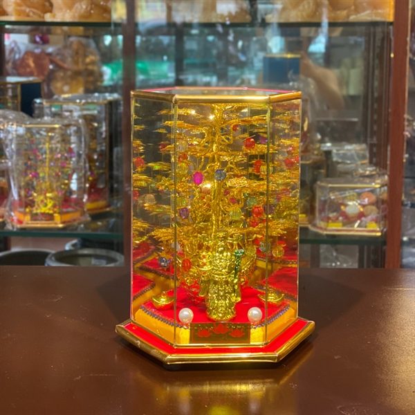 Cây Cành Vàng Lá Ngọc Chiêu Tài