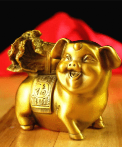 Heo Cõng Bắp Cải